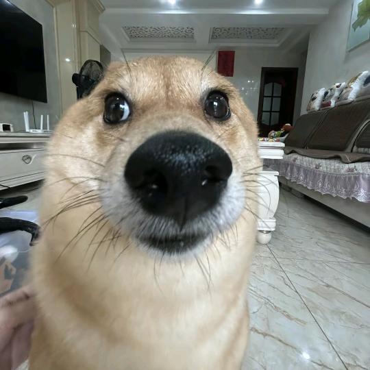 面朝最蓝的晴天