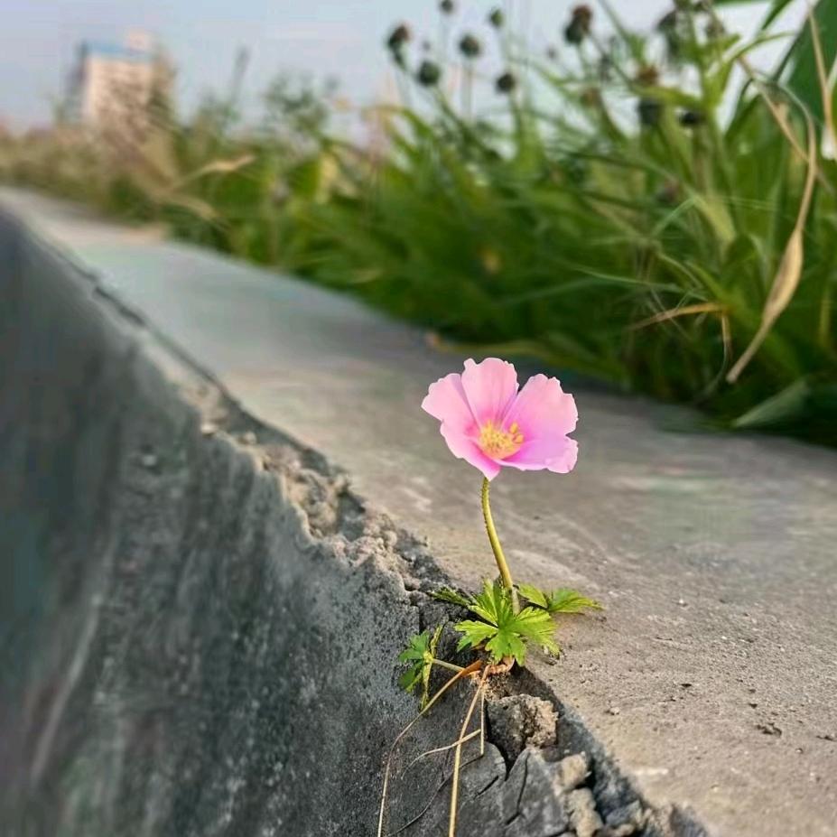 有财🌸