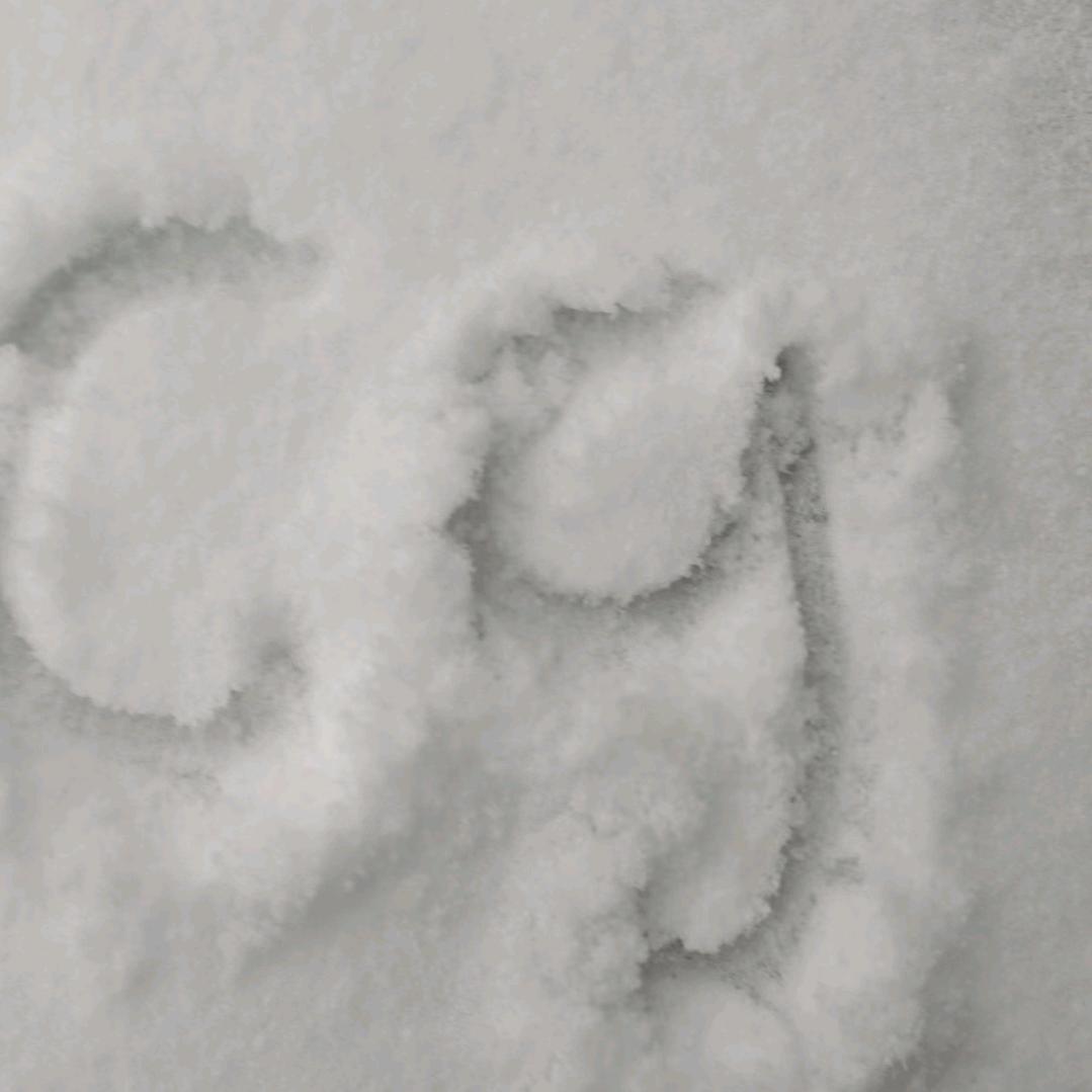 🌈好运相伴🌈