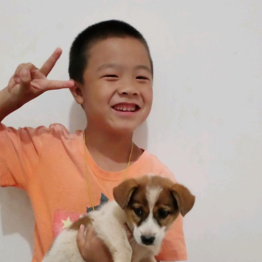 封心锁爱