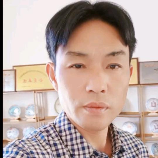 云南永红普洱茶