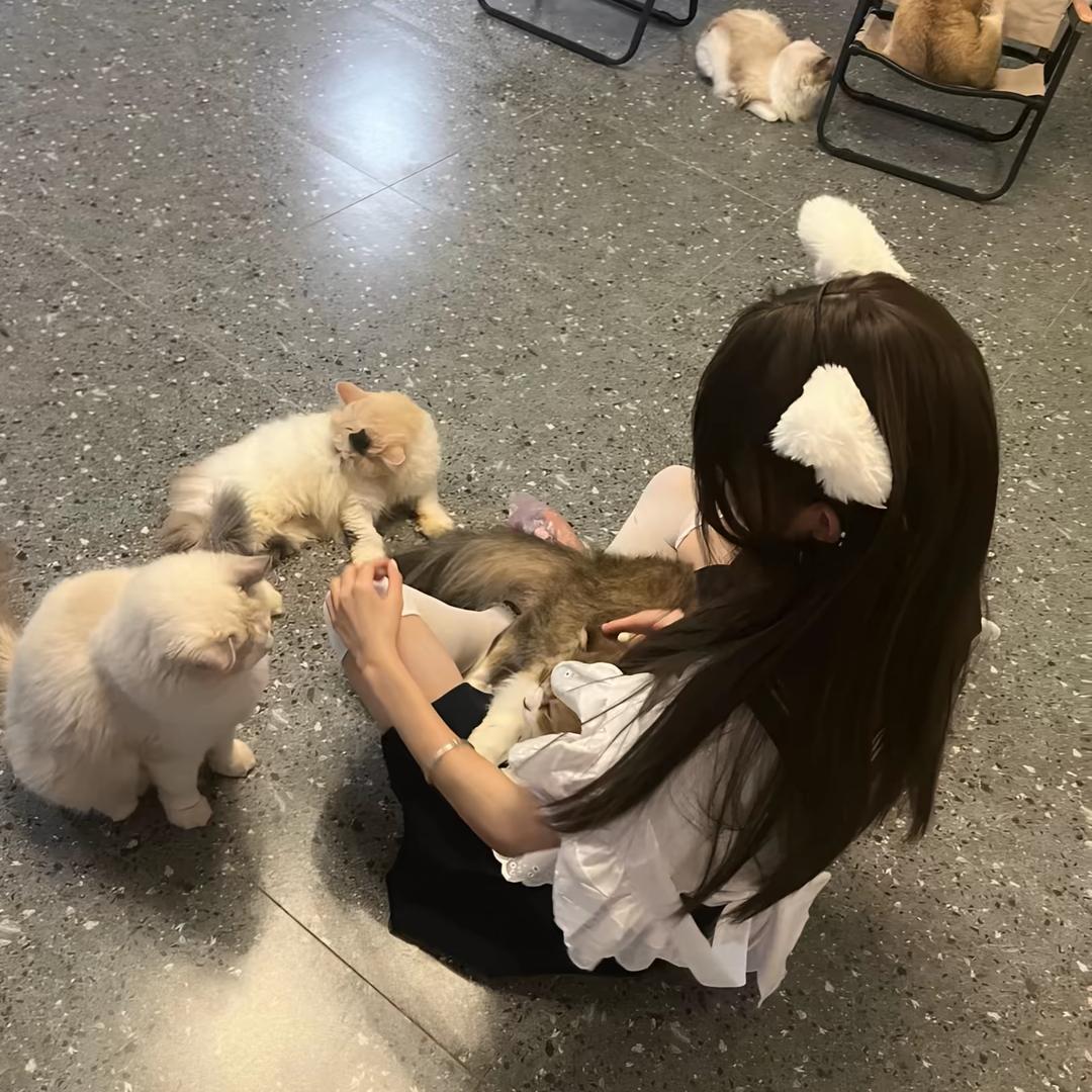 lazymieie 懒洋洋🌾