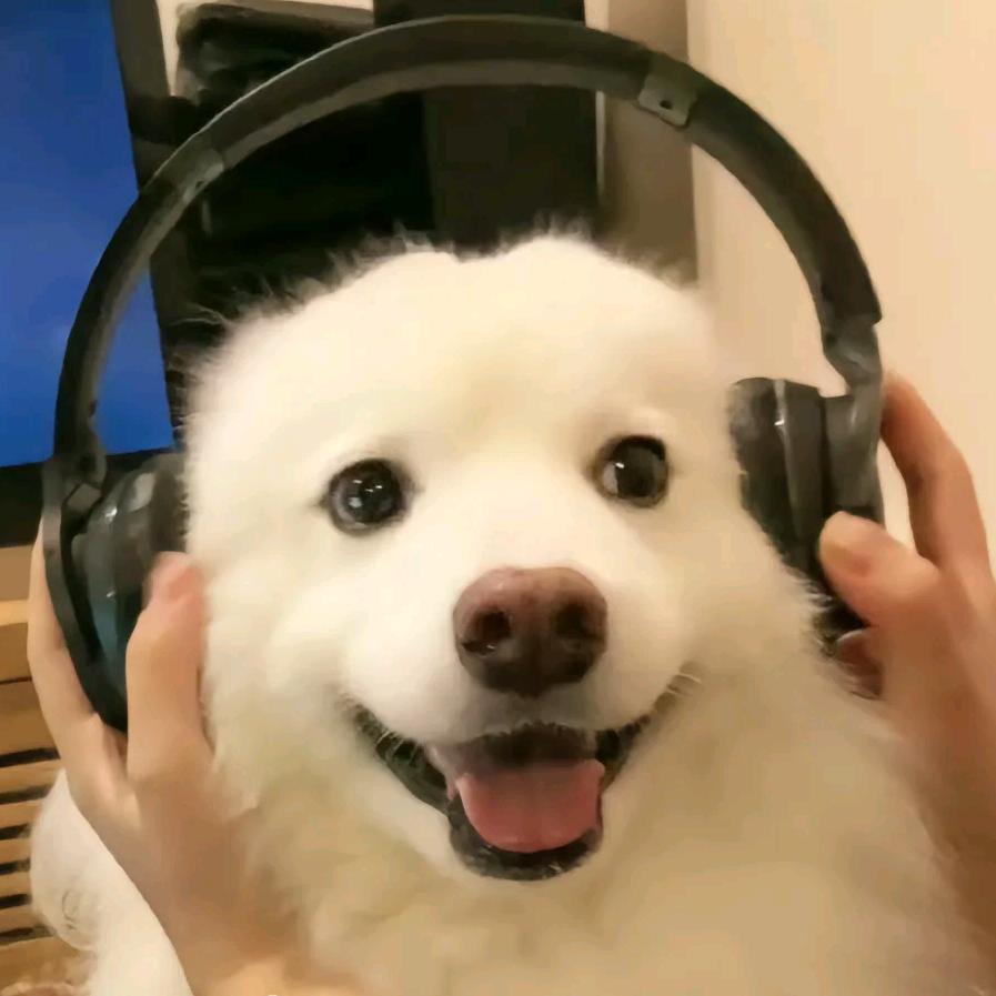 狗杞