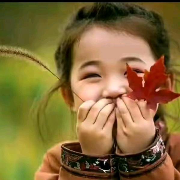 🌴🍂🍃末来的梦想🍂🍃🌴