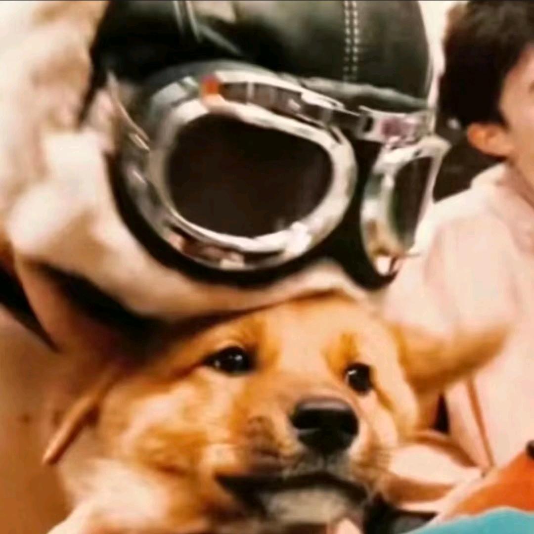 草莓气泡水  ᳐੭