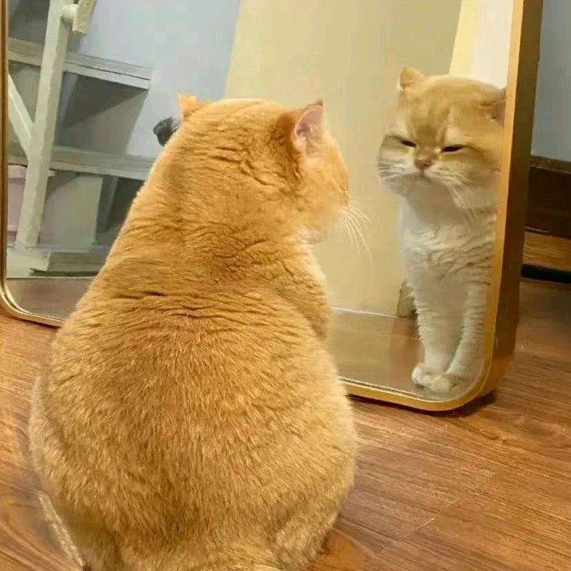 佑佑不吃奶瓶ᖰ⌯'▾'⌯ᖳ