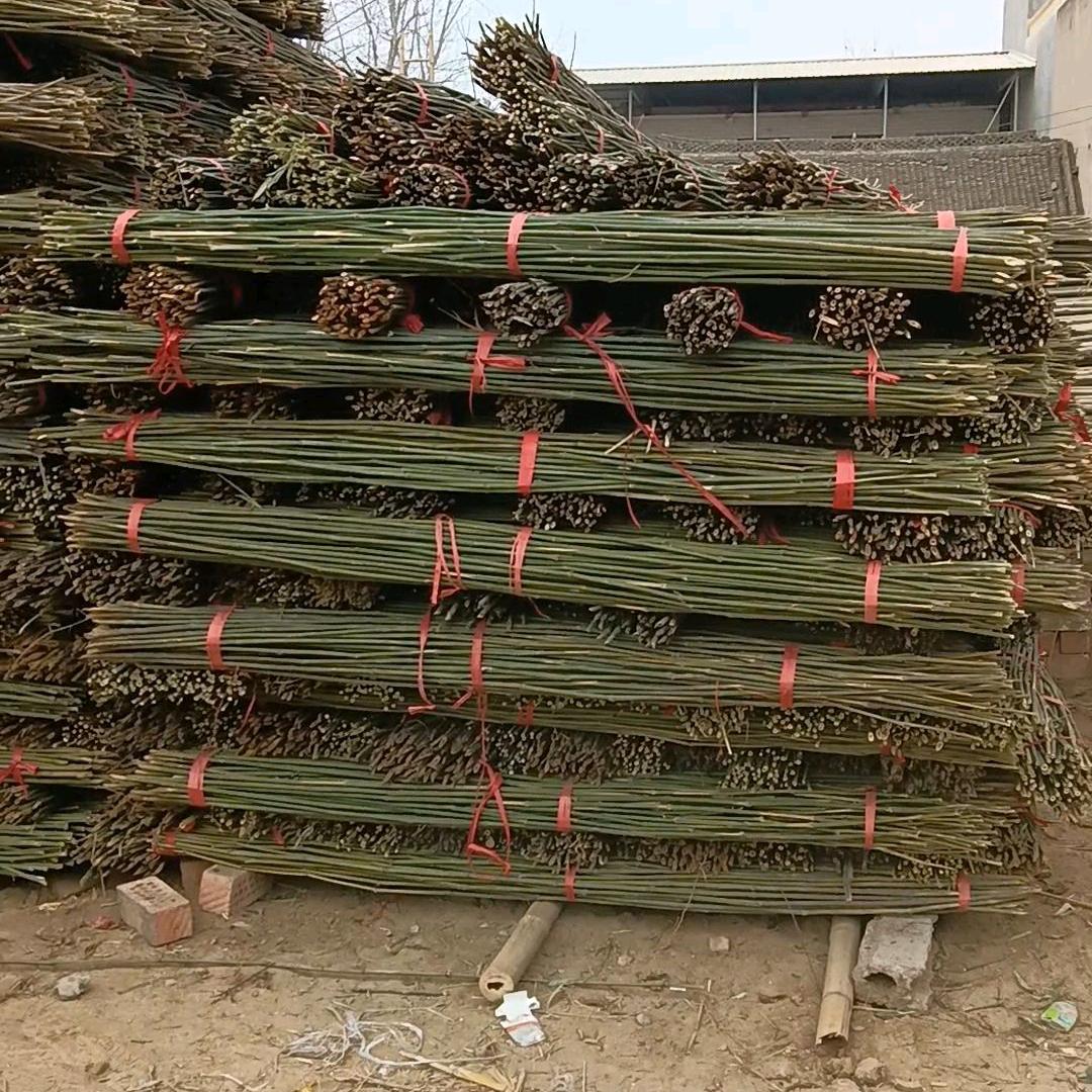 泥勾乡前泥，大量批发，竹笆，羊床，水泥杆