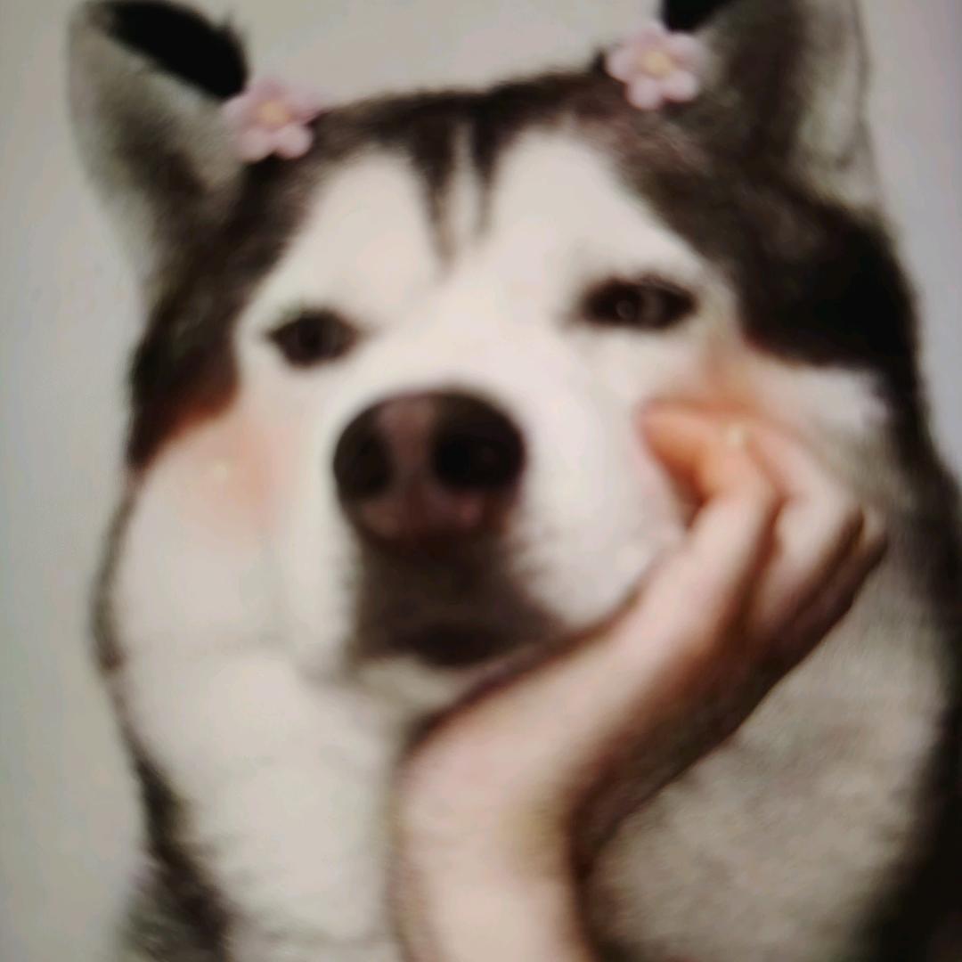 开心小Ⅹ