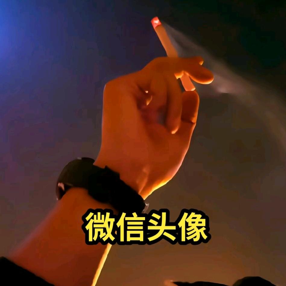 双 子 座