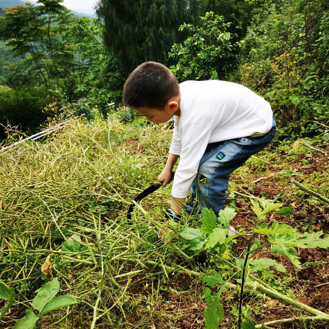 我的未来不是梦