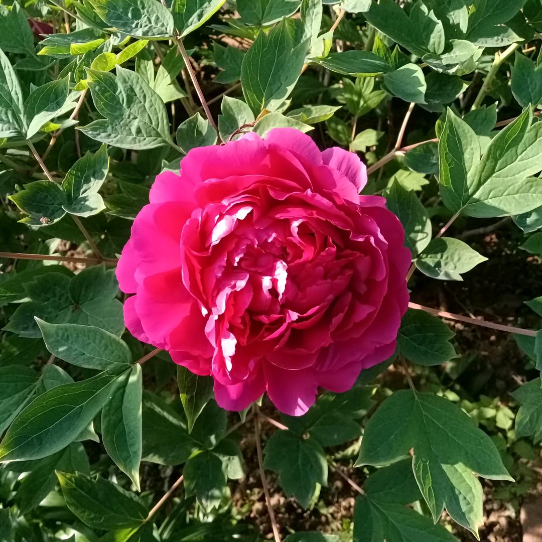 凡夫俗子🇨🇳