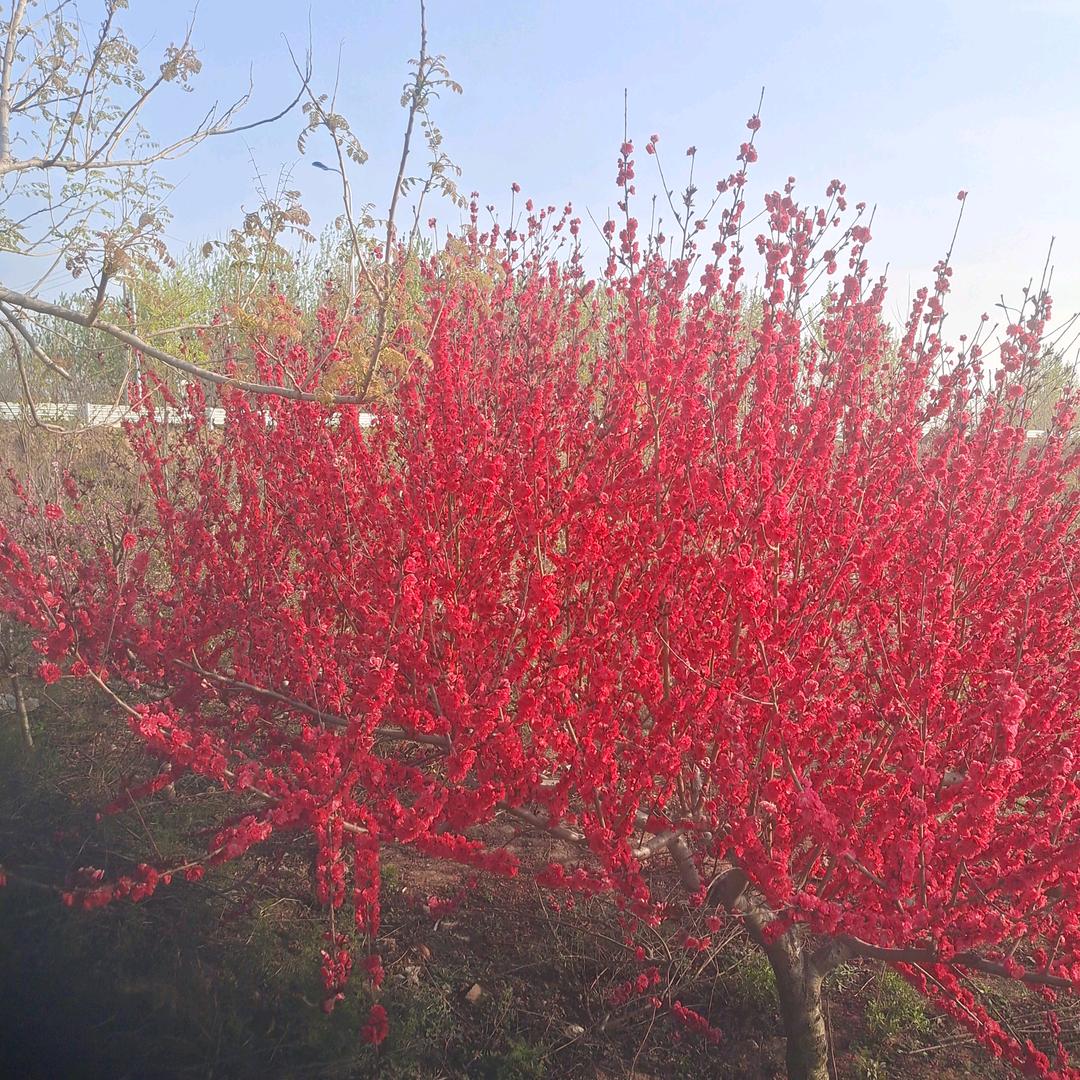 御味私房菜官方号