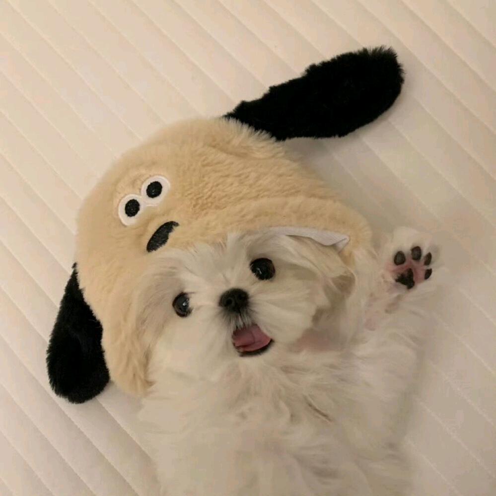 李依然
