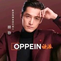 西昌润恒欧派整装大家居
