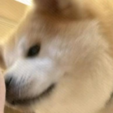 ~阿黄