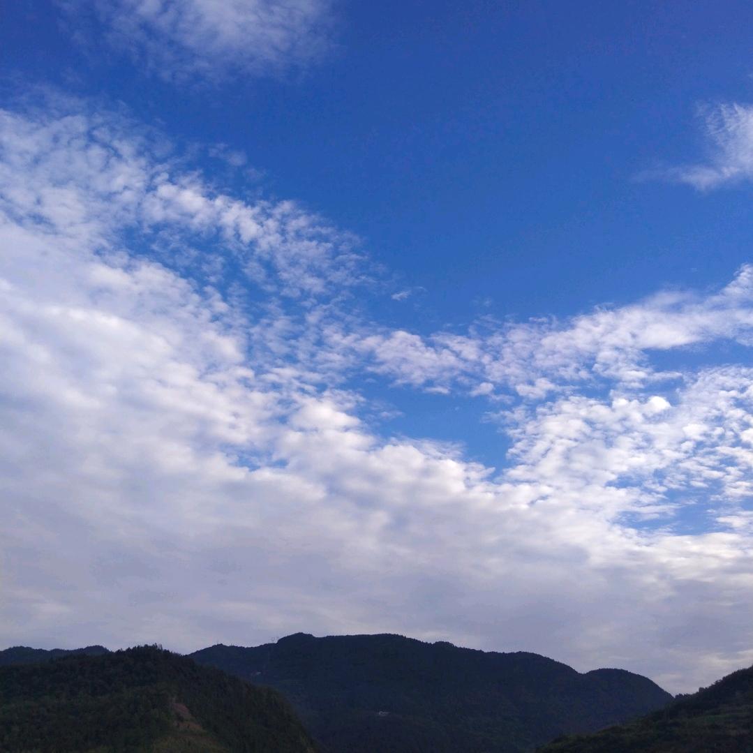 局中局
