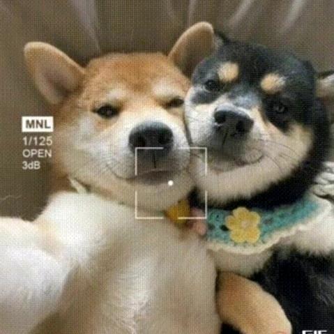 只玩一天