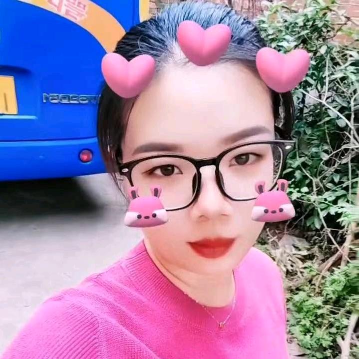 梅心如故