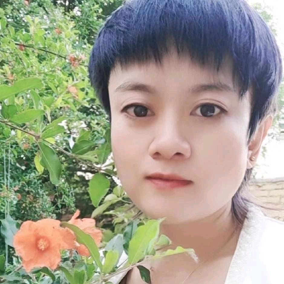 发酵稻壳鸡粪～发酵纯鸡粪配发全球