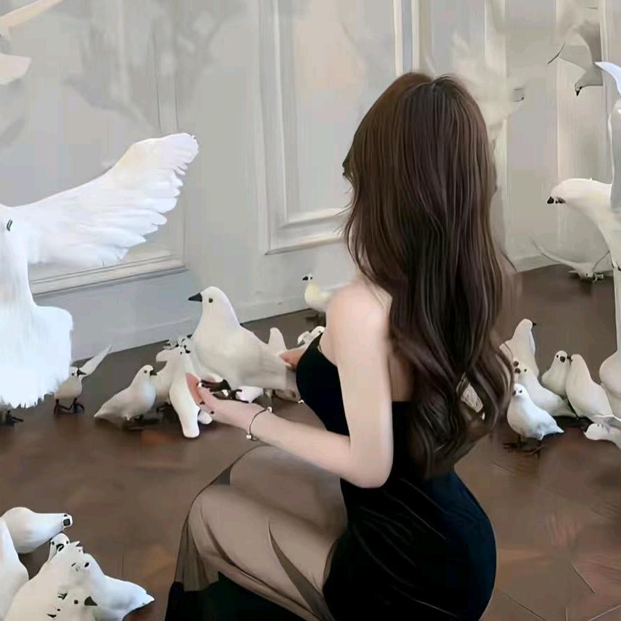 星海@开心（骑士版😊）