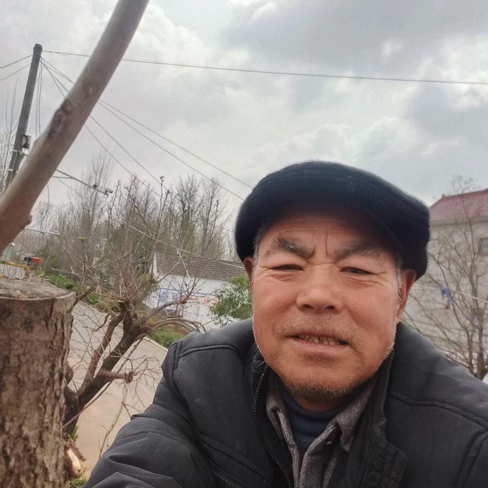银杏大王