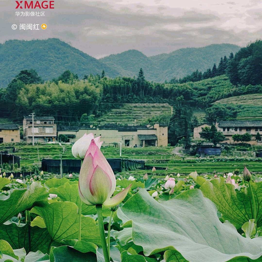 杨先生