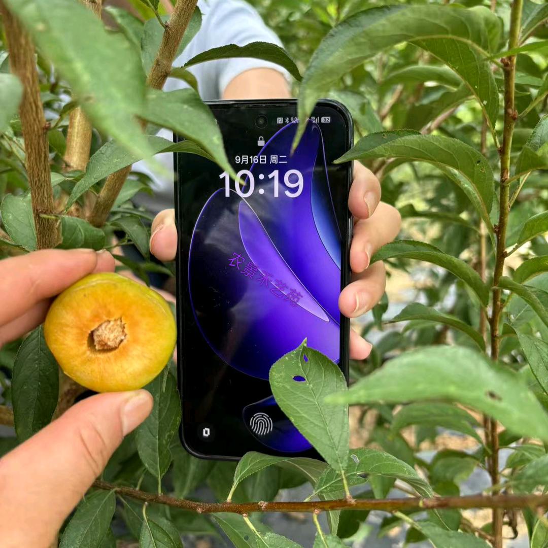 禾妤县农专卖店