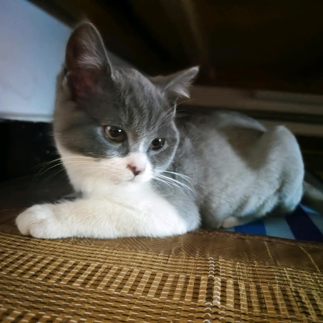 逝去的青春(๑><๑）