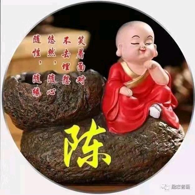 🌺以陈相待🌺