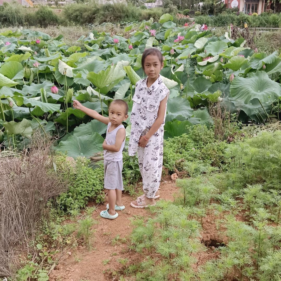 不一样的一520