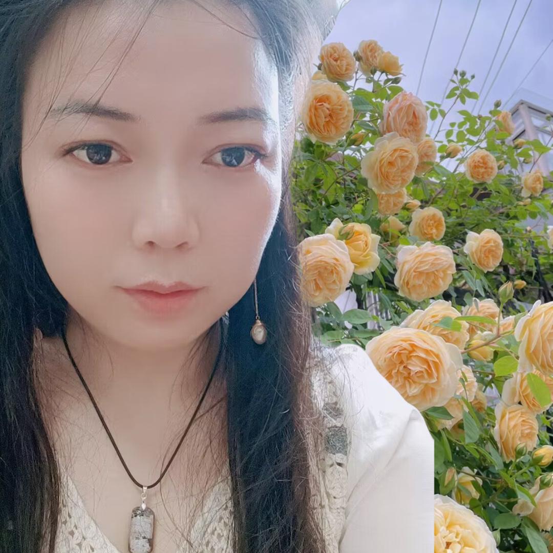 三小姐甄选
