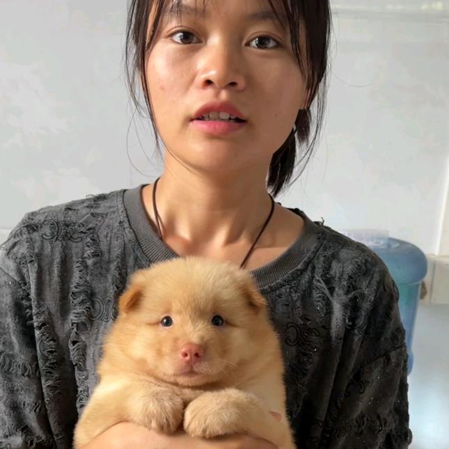 依依（寻狗）@抖音