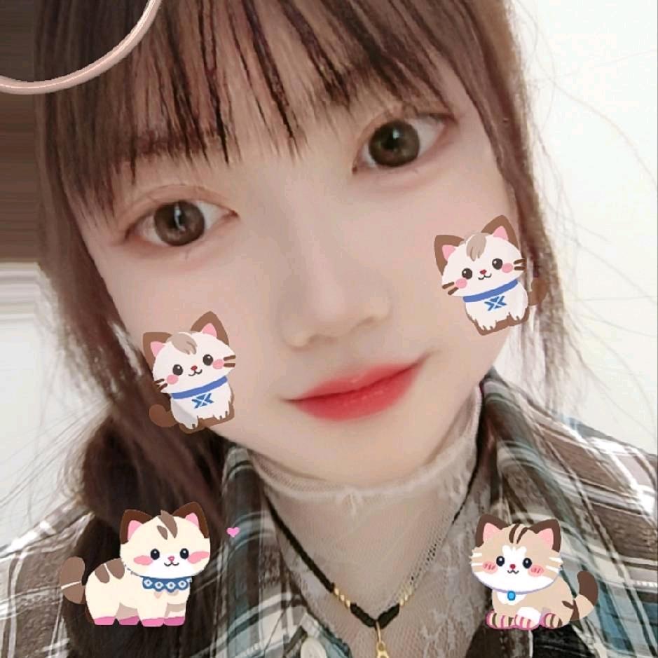 乔乔🐰
