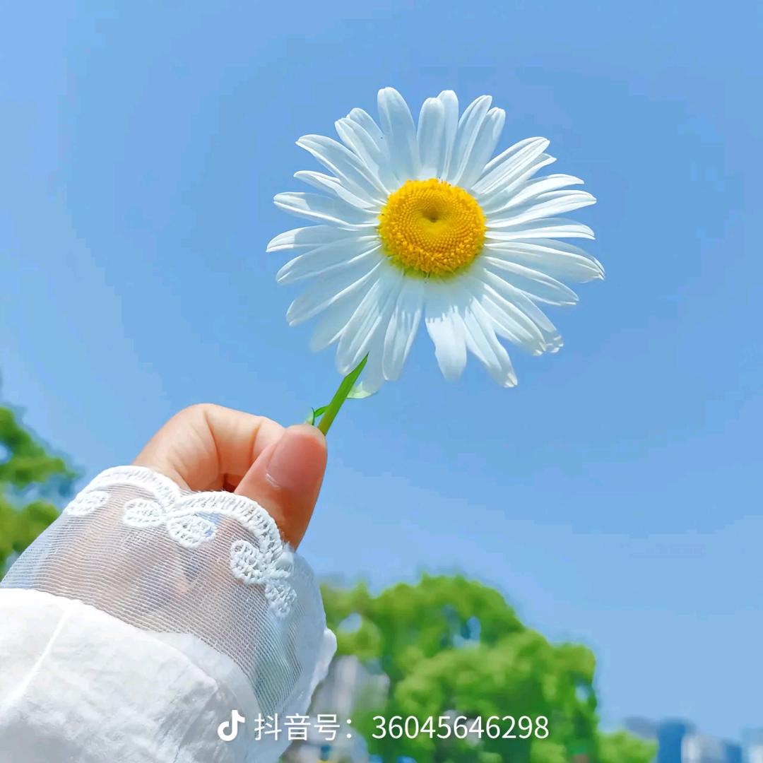 柠柠好物