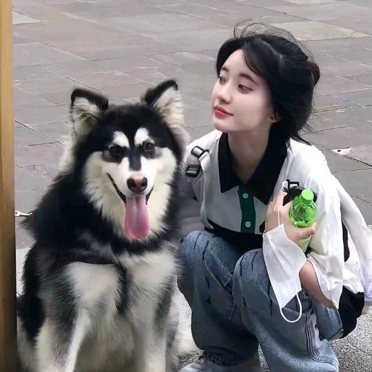 聪
