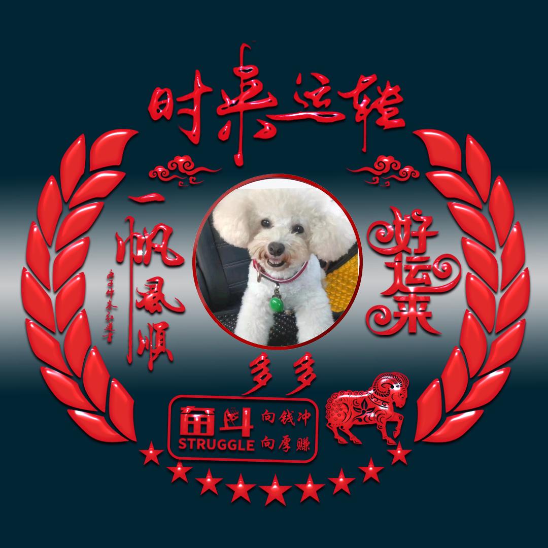 多多☀️☀️