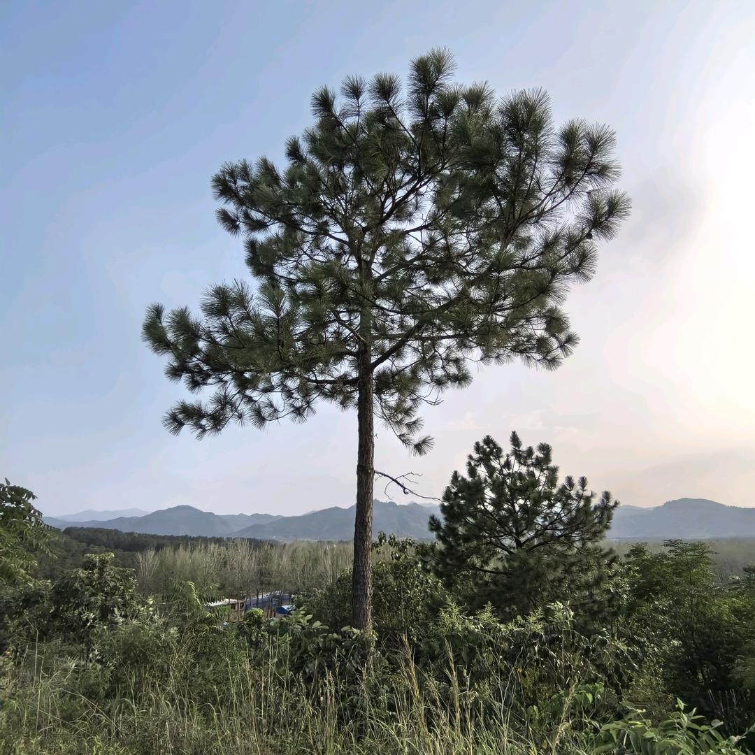 赵官庄休闲钓场