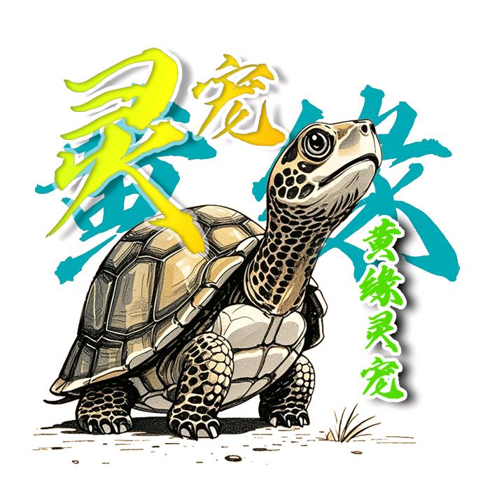 黄缘灵宠