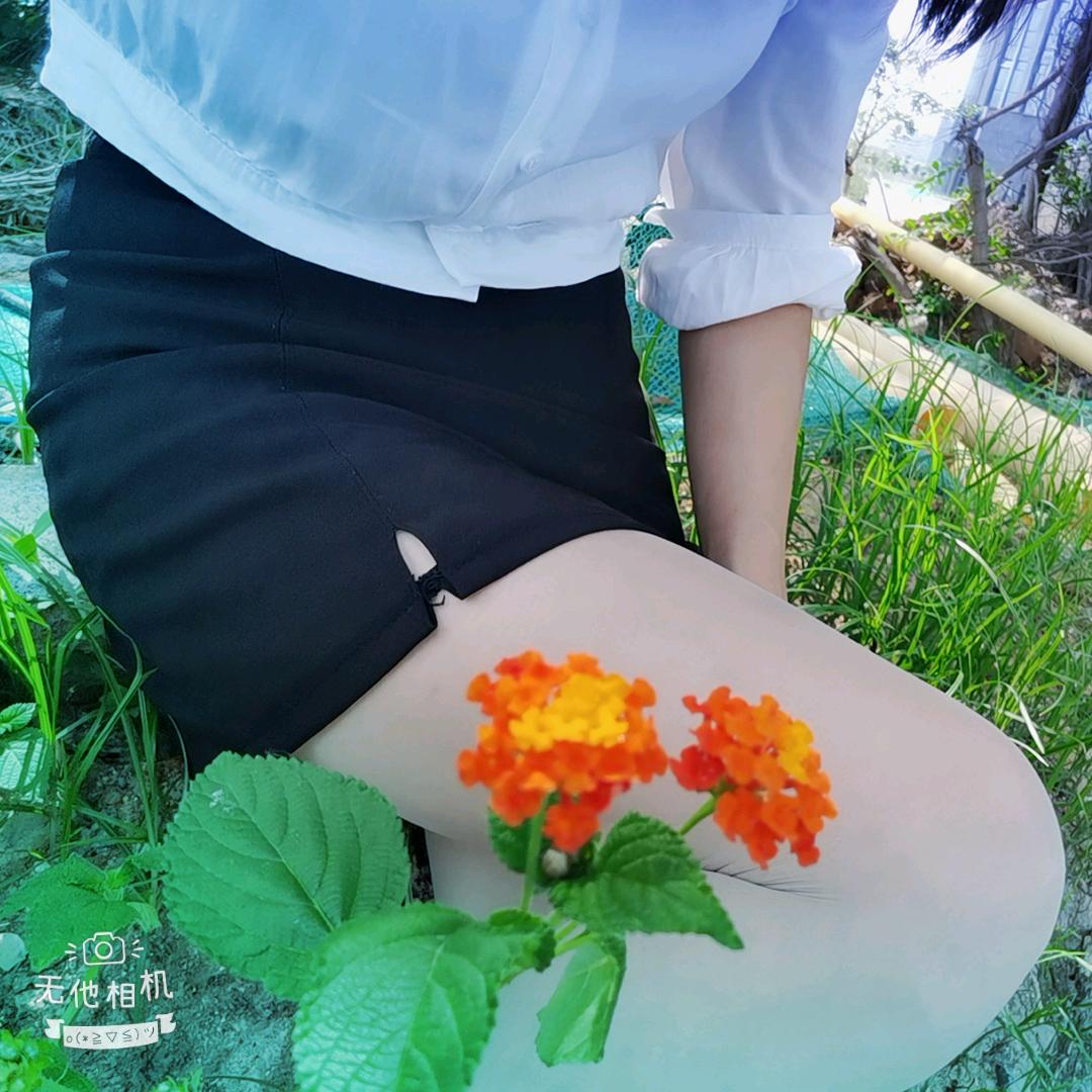 听说糖很甜🍬