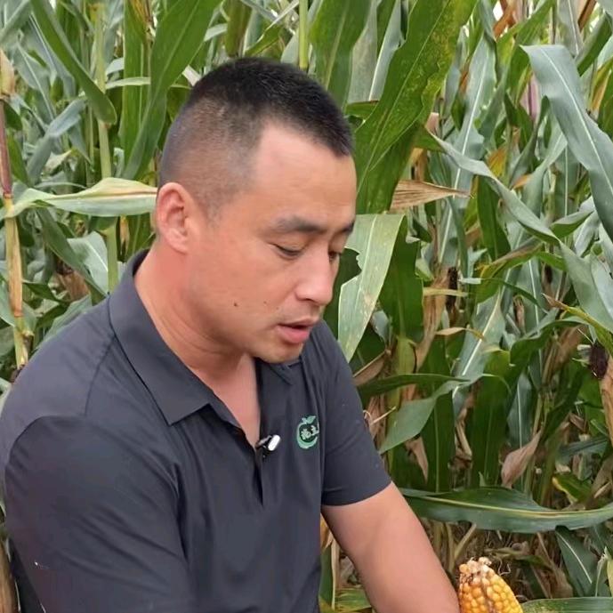 农业伟哥-说农业