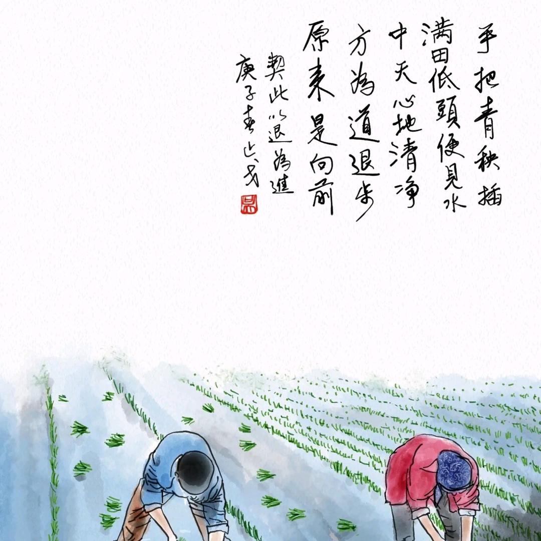 小苏影视