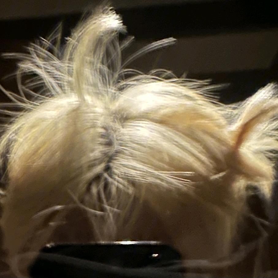 不瘦十斤不改名