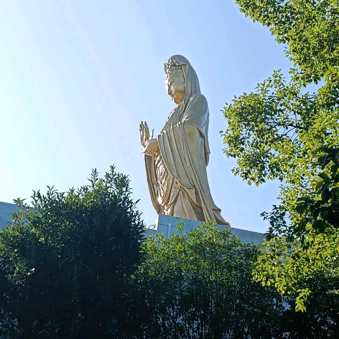 @军哥