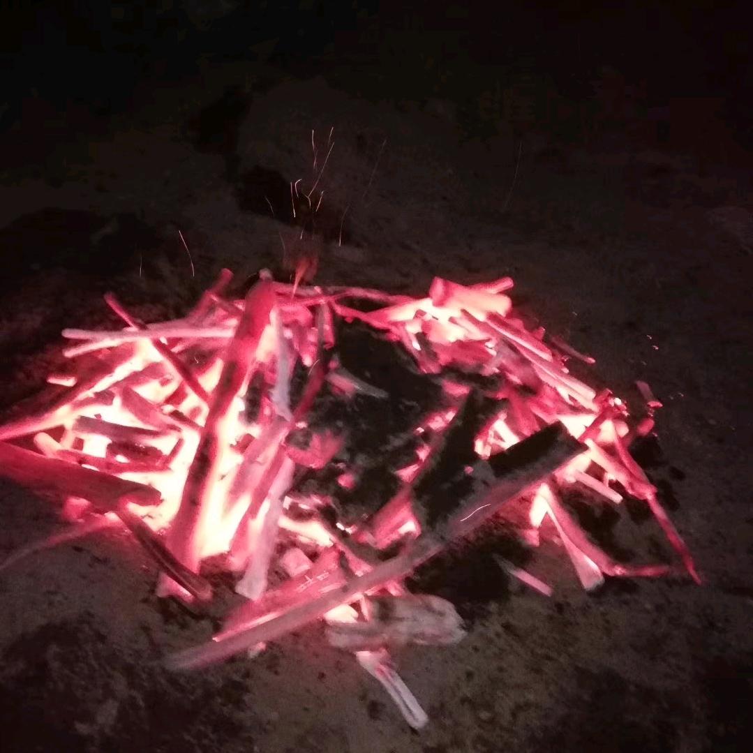 烧烤专用健康炭