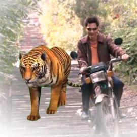 友《重新再来》