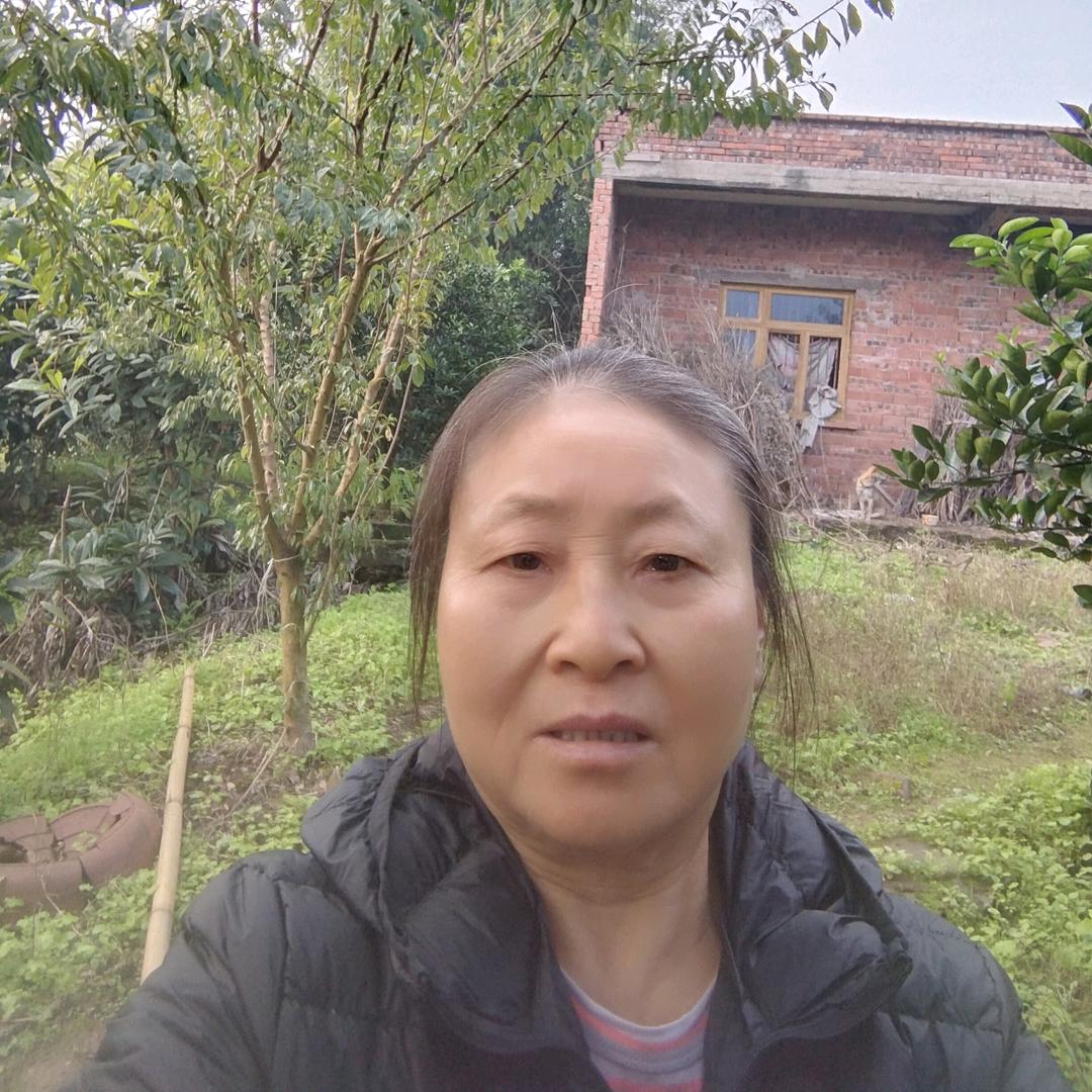 李洪姐