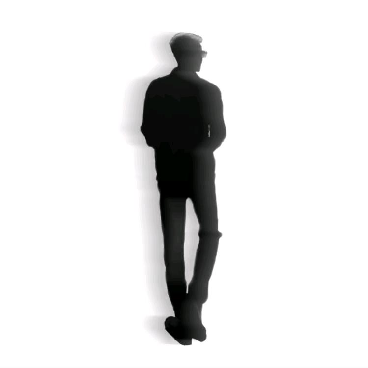 蛋蛋