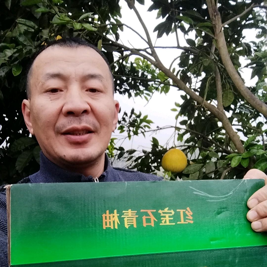 乡村男神（脐橙蜜柚玫瑰园农场）