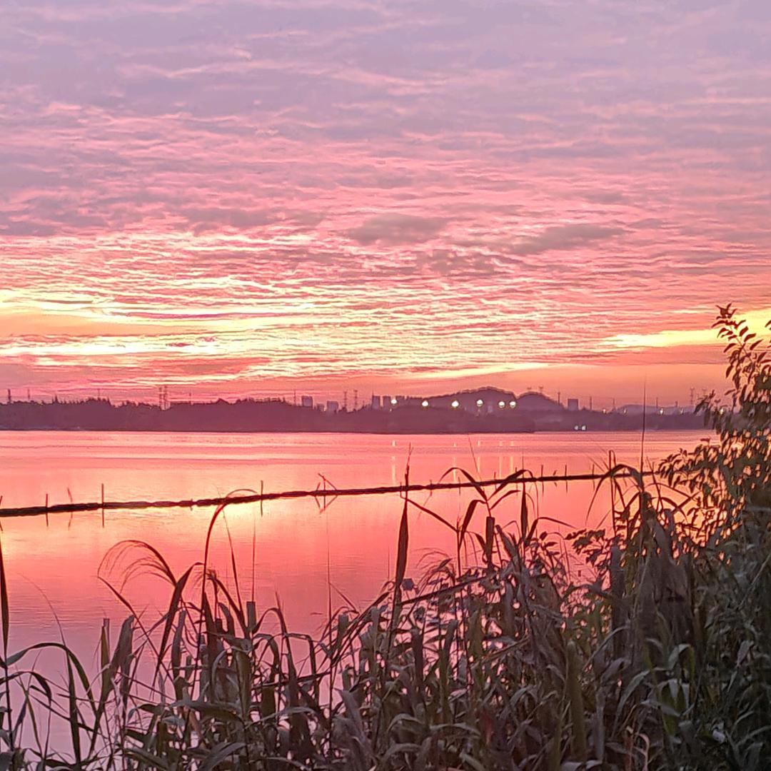 ᏞᎭₑ往后ꦿ余ᮩ生⁵²⁰᭄💕