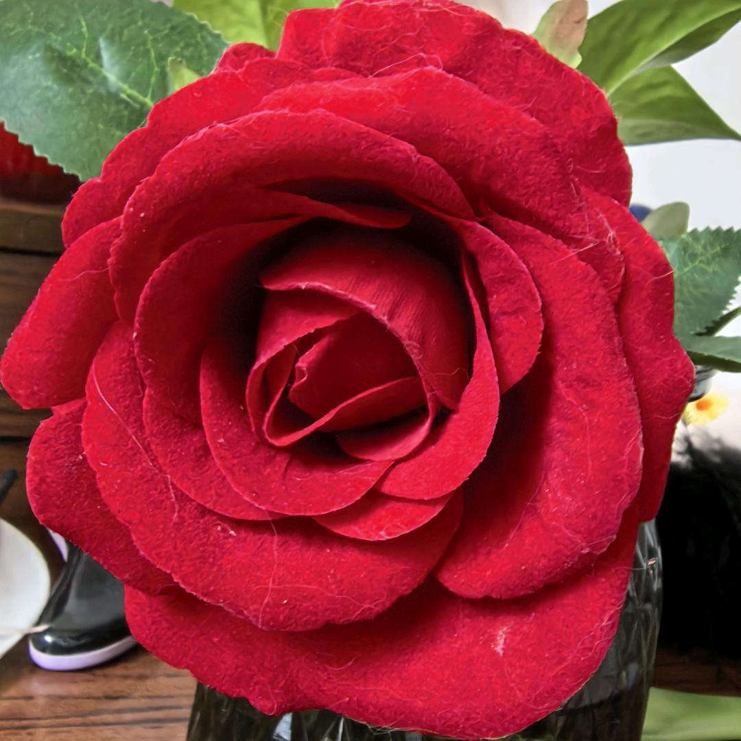 老卢❤橱窗里好物分享